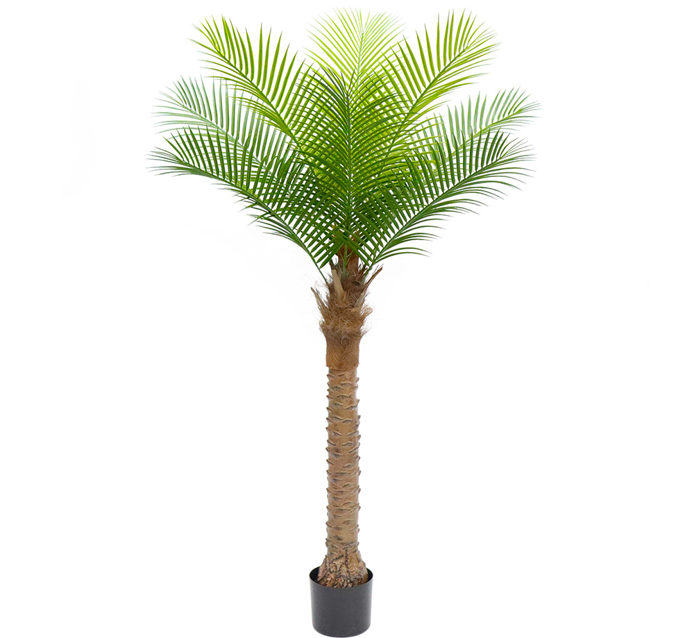 Coconut Tree 160cm