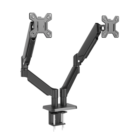 Dual display stand
