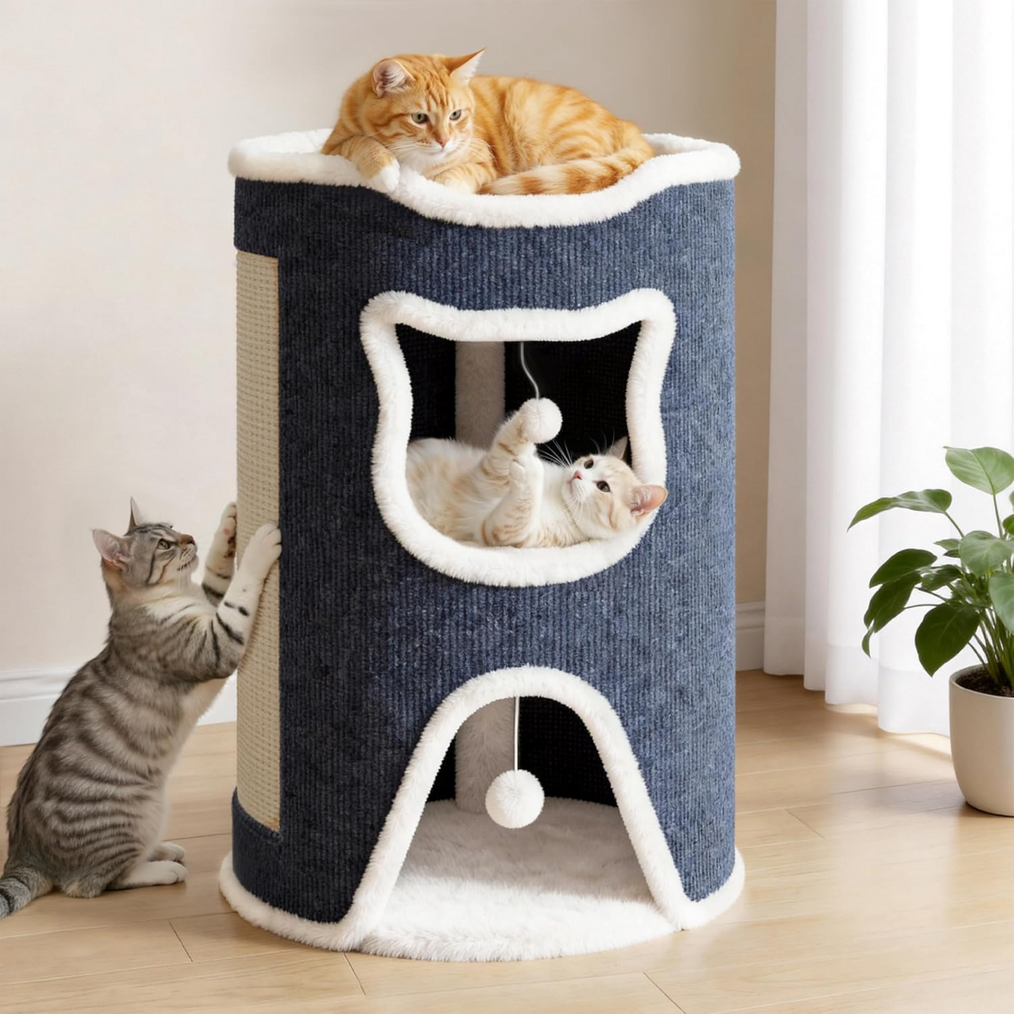 Cat House
