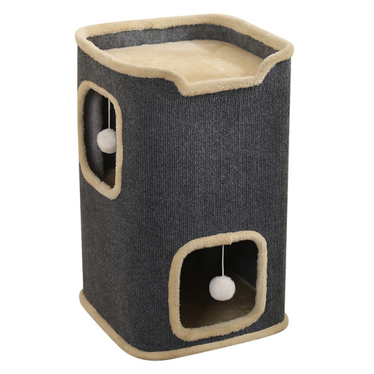 Cat Apartment