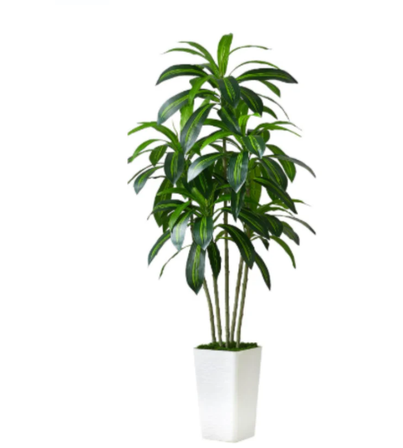 180cm Brazilian iron